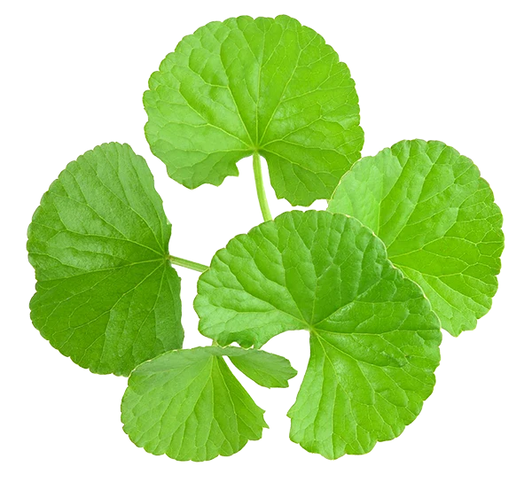 a27ccdd2-5abe-4c53-a46f-2c0bd4d0d720.Frame 5